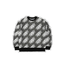 Korean direct mail BSRABBIT fashionable ski sports brand outdoor versatile sweatshirt 2932689