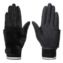 Korean direct mail lecoq golf gloves