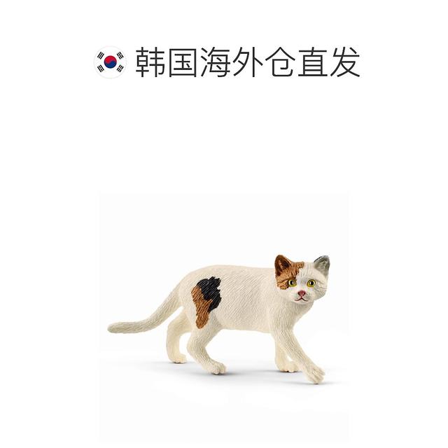 Korean direct mail [Schlihi] American short hair cat