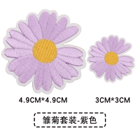 Purple Daisy Package