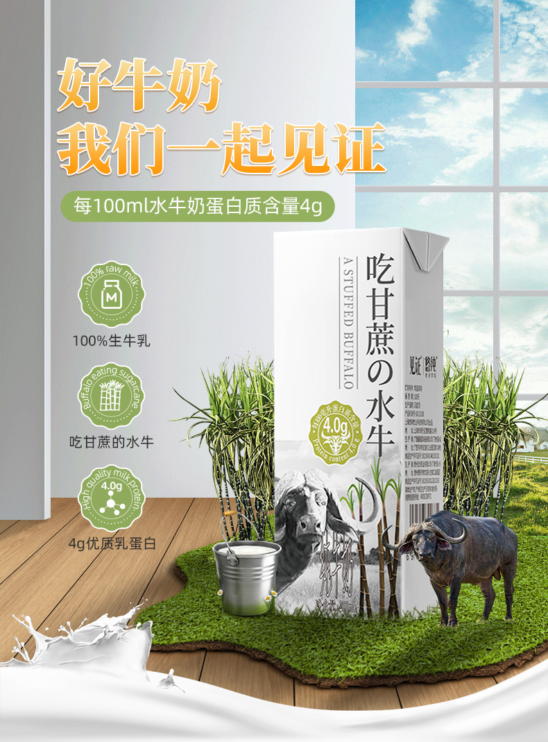 奶中珍品 见证 4.0高蛋白 全脂水牛奶 200ml*10盒 图1