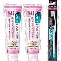 (Japan Direct Mail) Systema Lion King Medicinal Toothpaste With Fluortooth Periodontal Disease 95 gr 2 With Toothbrush