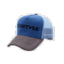 Japan direct mail DSTYLE standard sports mesh cap beige light