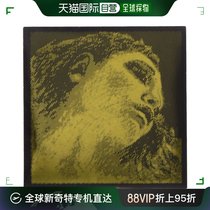 (Direct mail from Japan) PIRASTRO violin strings 415321EVAH PIRAZZI GOLD D string