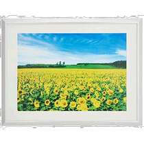 (Direct Mail from Japan) Nakabayashi Nakabayashi Aluminum Lightweight Photo Frame A4 Size Silver F-SA-224