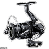 Japan Direct Mail Shimano Spinning Wheel Exense BB 4000MHG 2020 Model]