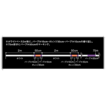 Japan Direct mail Varivas VARIVAS Awani Egging High power PE X8 0 150m 8