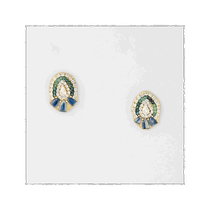 Japanese direct mail Japanese trend agete Akado Eva Hanusova for agete earrings mixed colors are