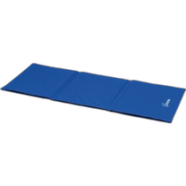 Japanese direct mail waterproof 2 cm thickness TOEILIGHT mens and womens sports mat 150F sports equipment Yu