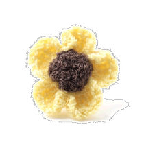 Japanese direct mail San Carlino corsage yellow men nemophila crema NEMOPHILA