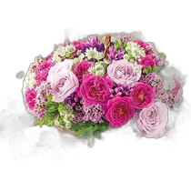 Japan Direct Mail (Japan Direct Mail) Appleone Jigsaw Puzzle 500-299 500 Pieces Rose-colored Practice