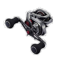 SHIMANO Shimano Yanyue 2021 series seawater two-axis fishing reel 100PG right-hand type