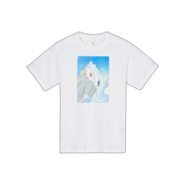 Japanese direct mail Japanese tide MontBell WIC T snow mountain climbing