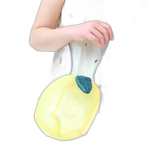 Japanese direct mail lemon scented bag apres les cours childrens bag