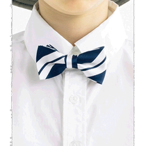 Japanese direct mail Smoothy childrens version of silk ties is easy to use suitable for all kinds of formal occasions