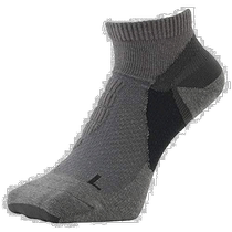(Direct mail from Japan) Mizuno DRYVECTOR series thin ankle socks B2JX1102 Gray M