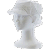 Japanese direct mail trusco universal safety helmet brim