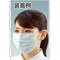 Japan Direct Mail Trusco Mask 3 couches de filtre Anti-poussière Four Seasons peut porter 100 tranches DPM EC L