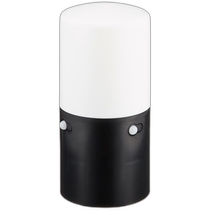 (Direct mail from Japan) IRIS OHYAMA lamp IRIS OHYAMA sensor lamp LED black 2 pack