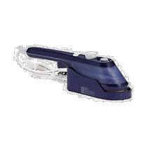 Japan Direct PostTWINBIRD Double Bird Strong Bacteria Deodorant Steam Portable Handheld Home Iron SA-4097