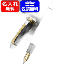 SAILOR classic simple high-end business signature pen GT11-0570 stationery