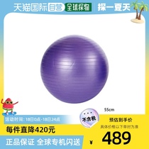 Japan direct mail evernew universal fitness ball