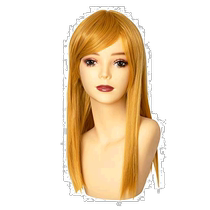 (Direct Mail from Japan) Clearstone City Party Belle Wig Long Straight Wig Golden Brown