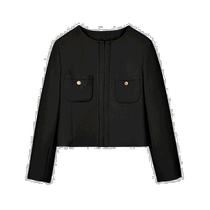 Japanese direct mail ANAYI womens lightweight blended short jacket spring and summer new style simple design suitable