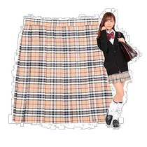 (Direct mail from Japan) Clearstone School Uniform Skirt Womens L Beige Black