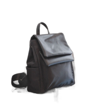 Japanese direct mail Andemiu womens online shopping limited waterproof double flap backpack 164338 fashionable and practical model