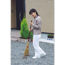 Japon publipostage Japon achat direct azuma Master 168 balai Waiyuan 236090000 palmier