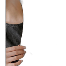 Direct mail from Japan WEB Limited Angelfish Dragon Fish Ocean Partner Brooch ear PAPILLONNE