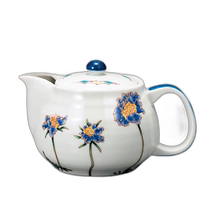 Japan Direct Mail Kutani Ware Universal Teapot Ceramics