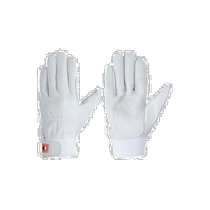 Japan Direct Mail SIMON Leather Gloves 728M