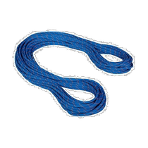 Ritchie errand MAMMUT 9 5 rock wall dry rope Drytandard blueocean 50 m