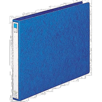 (Direct mail from Japan) Lihit Lab punched binder folder A3E 2 holes blue F835