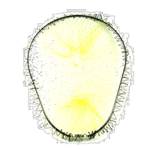 Japan Direct Mail Daito Ubuku Fine Frame No 1221 L Bronze