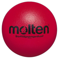 Japan Direct Mail General Volleyball