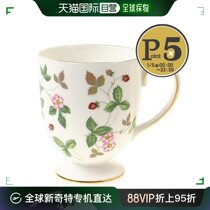 Japan Direct Mail Wedgwood Universal Cup Mark Cup Tea Dish