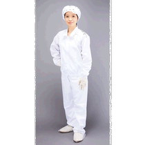 Japanese direct mail TRUSCO clean room clothing TCLGJ-W-3L