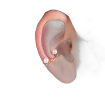 (Direct mail from Japan) Phoebe Ms. Ear Clip