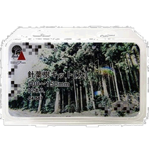 (Direct mail from Japan) Kato Railway Model Supplies Conifer Kit 100-150mm 12 pcs