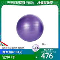 Japan direct mail evernew universal fitness ball