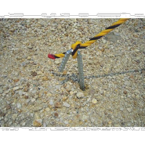 Japan direct mail trusco general hardware