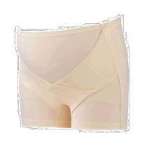 (Direct mail from Japan) Inujirushi Dog Seal Honpo Maternity Belt for Pregnant Women Champagne LL HB8401