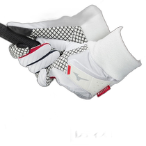 Japan direct mail MIZUNO equipped with womens golf gloves (recommended for both hands and right hand) Breath Th