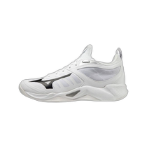 Japan direct mail Mizuno Mizuno mens sports cushioning shoes WAVE DIMENSION V1GA22400