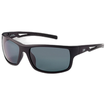 Japan direct mail (DAIWA) sunglasses DN-8323 (triacetate polarized glasses)