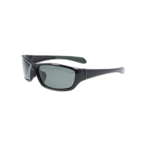 Japan direct mail Coleman unisex polarized sunglasses CM 40321