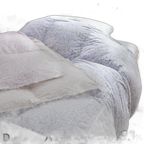 Japan direct mail 93% Hungarian down Nishikawa duvet washable double layer spring summer and autumn Hungarian white feather